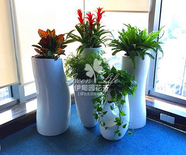 窗臺創(chuàng)意花卉綠植物租擺