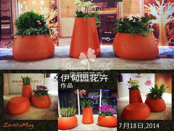 商場花卉綠植租賃