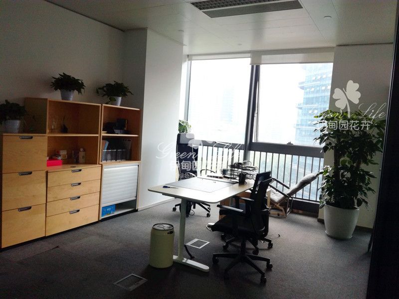 領導辦公室綠植租擺