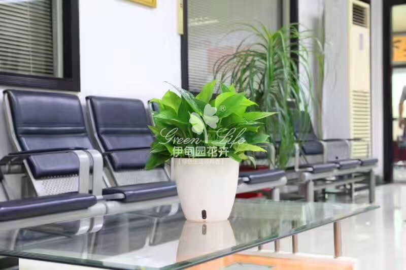 接待區(qū)植物租賃