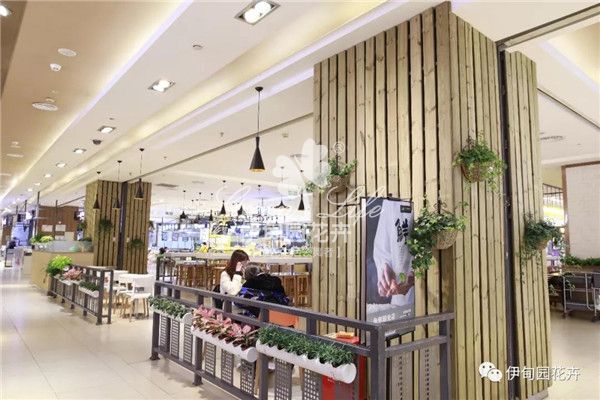 春熙路群光廣場綠飾