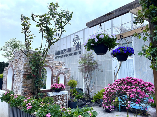 三天時(shí)間，完美蛻變，希桐園藝首屆藝術(shù)盆栽培訓(xùn)開始報(bào)名啦！