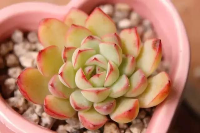 點(diǎn)擊打開(kāi)原圖