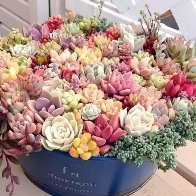 點(diǎn)擊打開(kāi)原圖