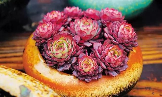 點(diǎn)擊打開(kāi)原圖