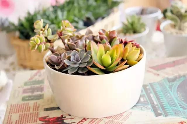 點(diǎn)擊打開(kāi)原圖