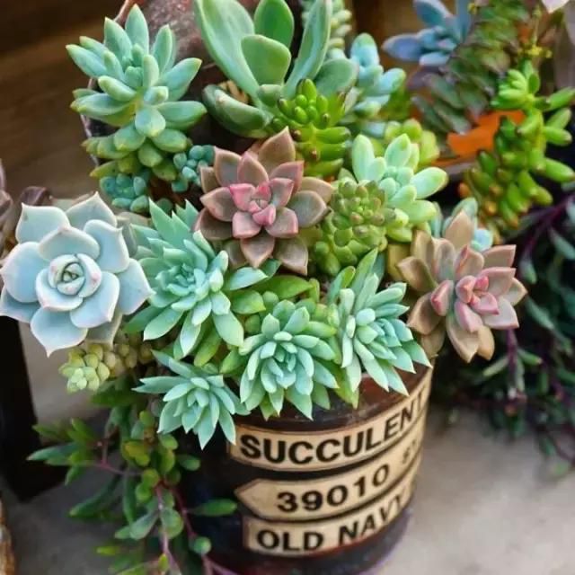 點(diǎn)擊打開(kāi)原圖