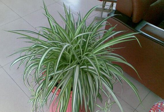 點(diǎn)擊打開原圖