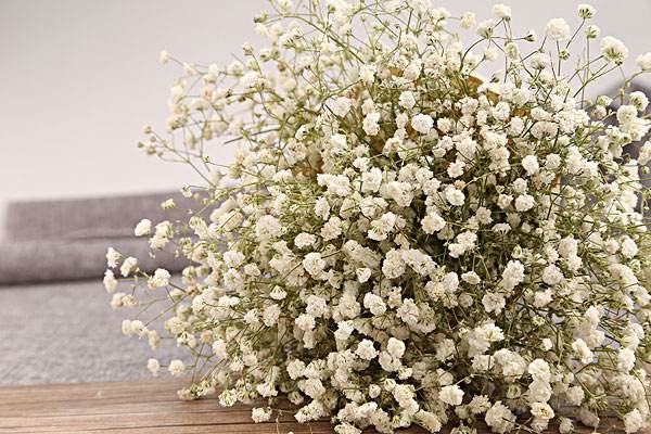 垂釣滿天星怎樣灑水