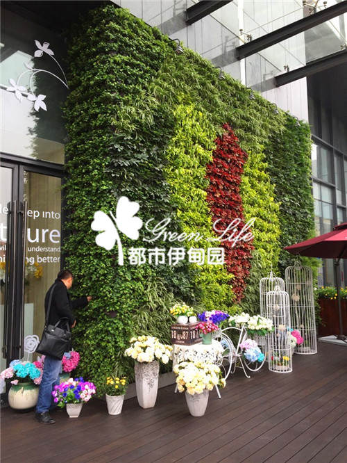 藍(lán)光-新天地綠墻